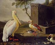 Adriaen Coorte Pelican and ducks in a mountain landscape or Oriental Birds oil painting artist